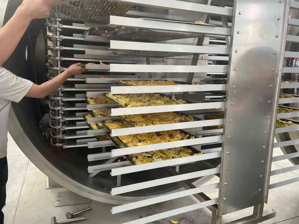 Лиофилизирующее оборудование для пищевых продуктов и овощей, лиофилизатор, сушилка для замораживания, цена