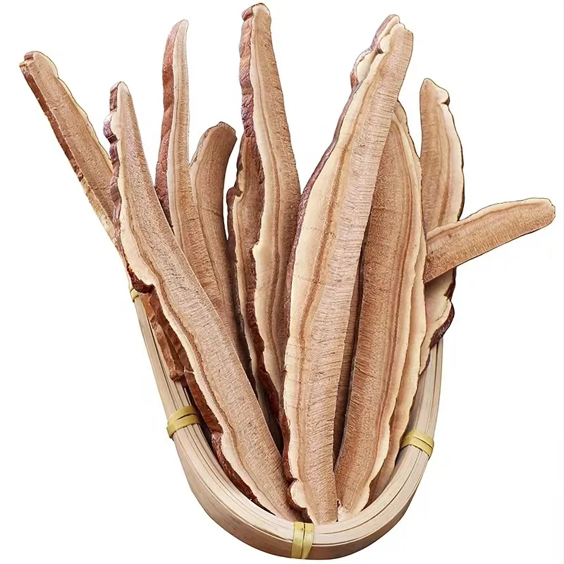 Wholesale top quality products reishi mushroom slices