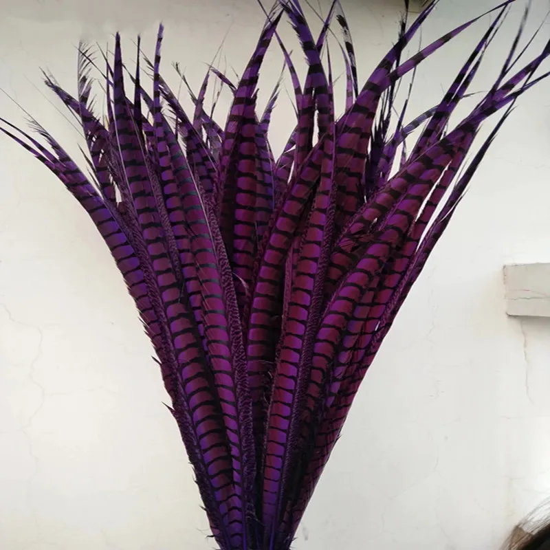 Wholesale Pheasant Feathers  70 cm  Lady Amherst Pheasant Feathers For Sale