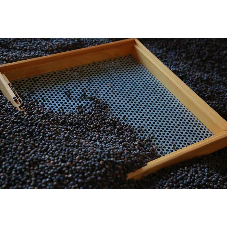 Best Grade Dried Black Pepper Spices from Indian Exporter Organic and Spicy Black Pepper for Food Seasoning