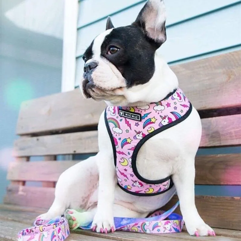 
Ins Hot Sale Dog Harness Personalised Breathable Mesh Traction Rope Dog Harness No Pull Set 