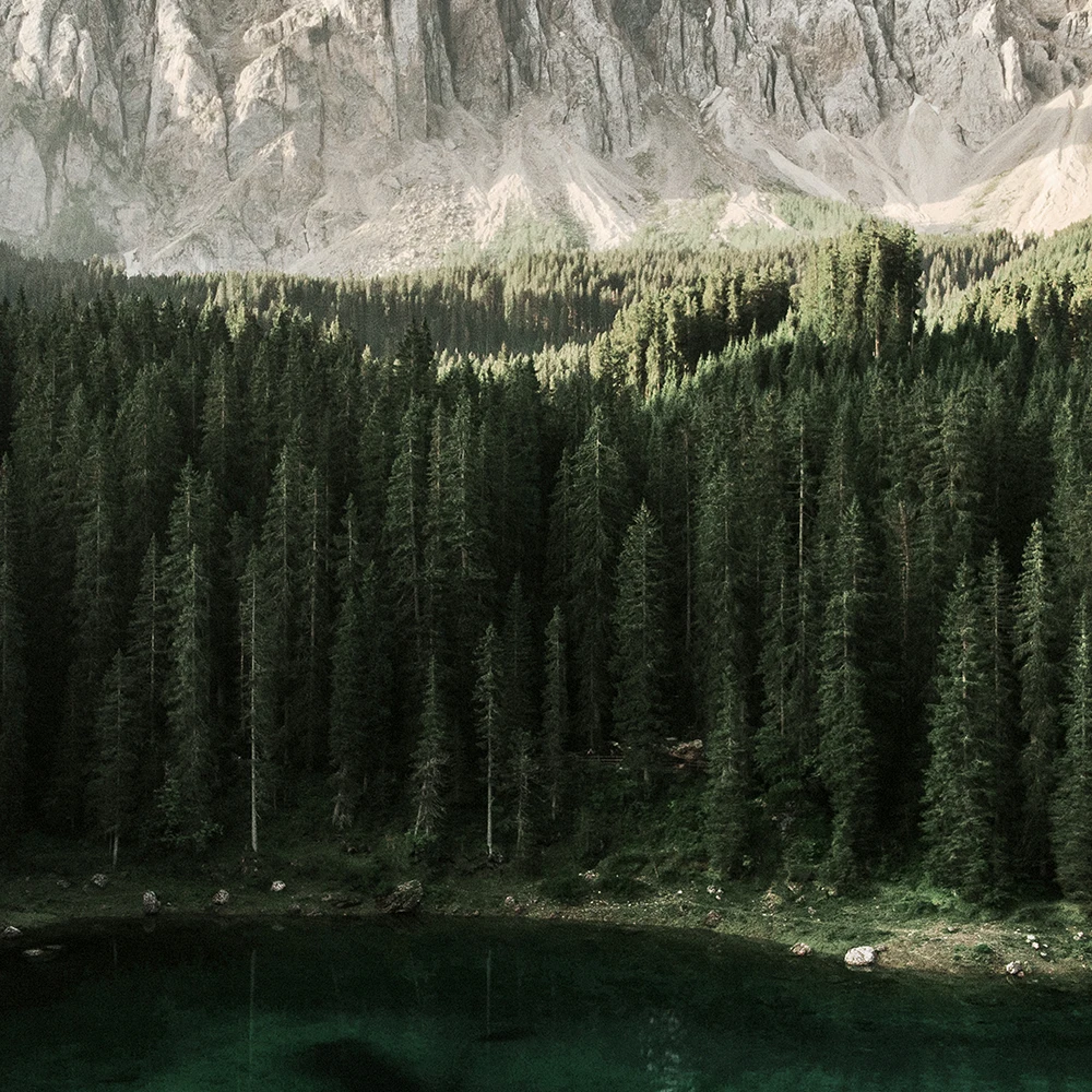 green scenery wall deco paint by numbers forest painting digital print modern moutain landscapes wall art nordic natural