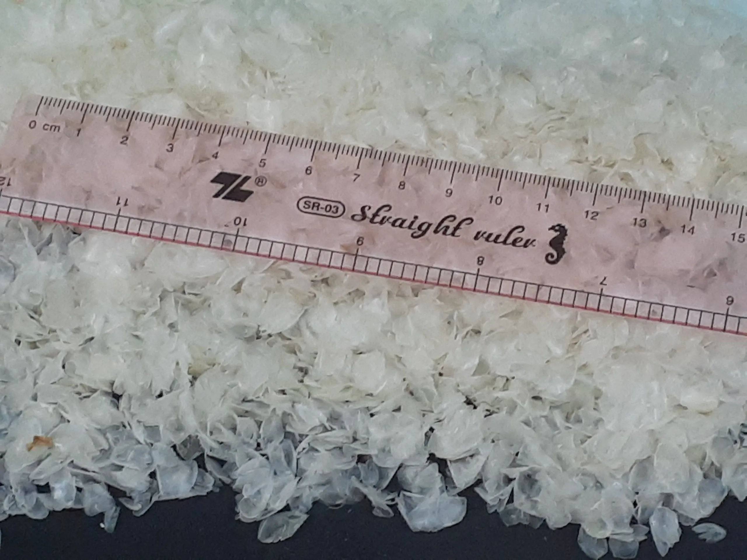 Dried Fish Scales with high quality from Viet Nam