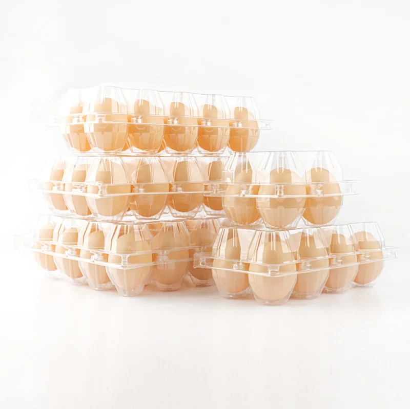 Eco-friendly Transparent Egg Tray Wholesale 30 Egg Plastic Trays With Cover