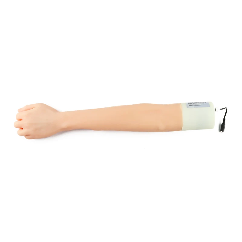 Ultrasound guided surgical training model Medical of venipuncture arm
