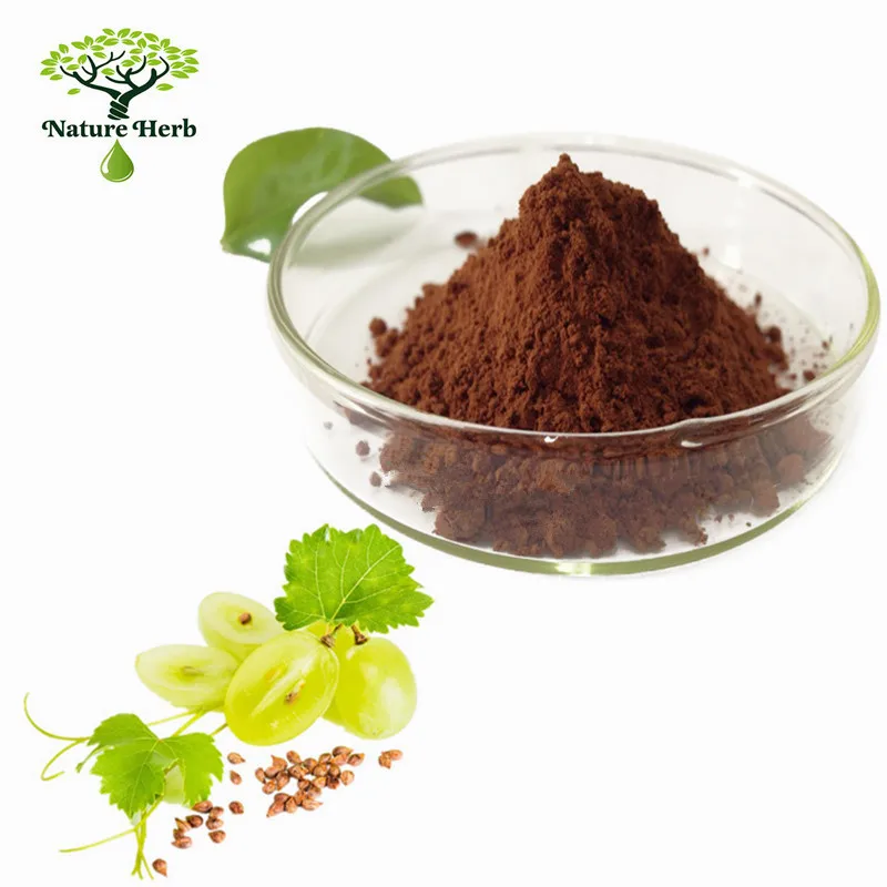 95% proanthocyanidine  grape seed extract powder