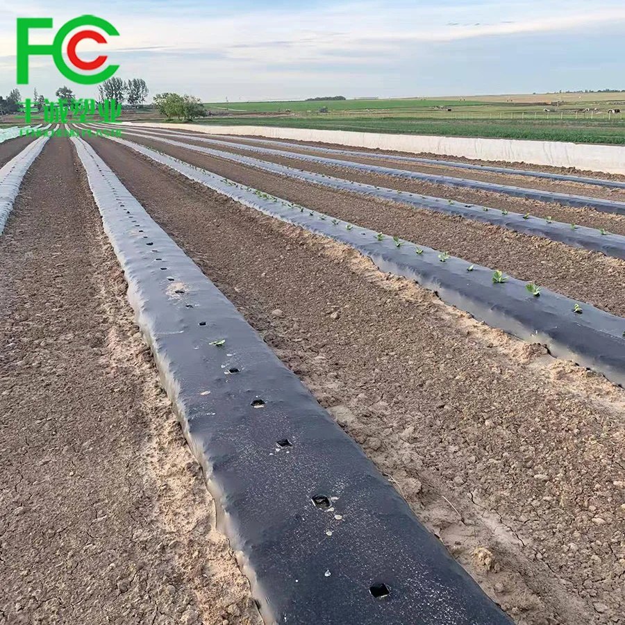 Agricultural Black Plastic Ground Cover Silver&Black Mulching Paper Greenhouse Mulch Film
