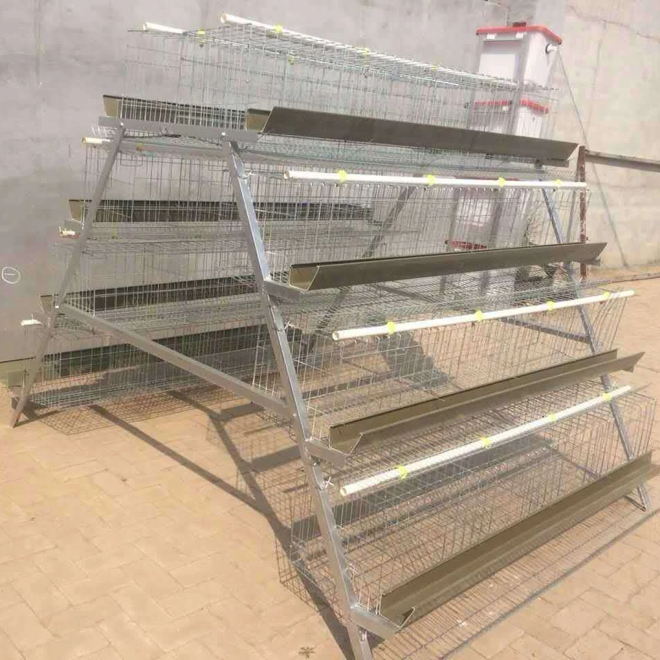 
 Куриная ферма, куриная клетка для птицы, распродажа  