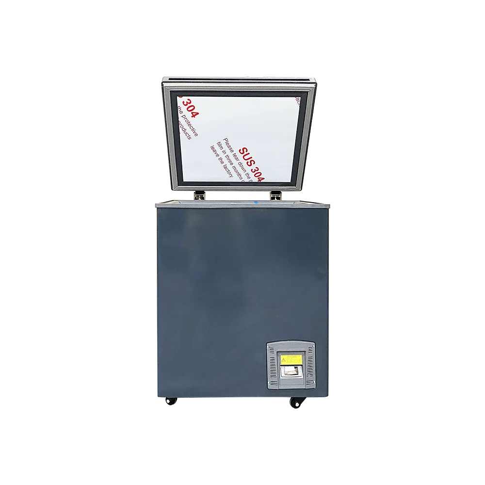 -60C New Style 110L Home Low Working Noise Ultra Low Temperature Chest Freezer DW-60W110