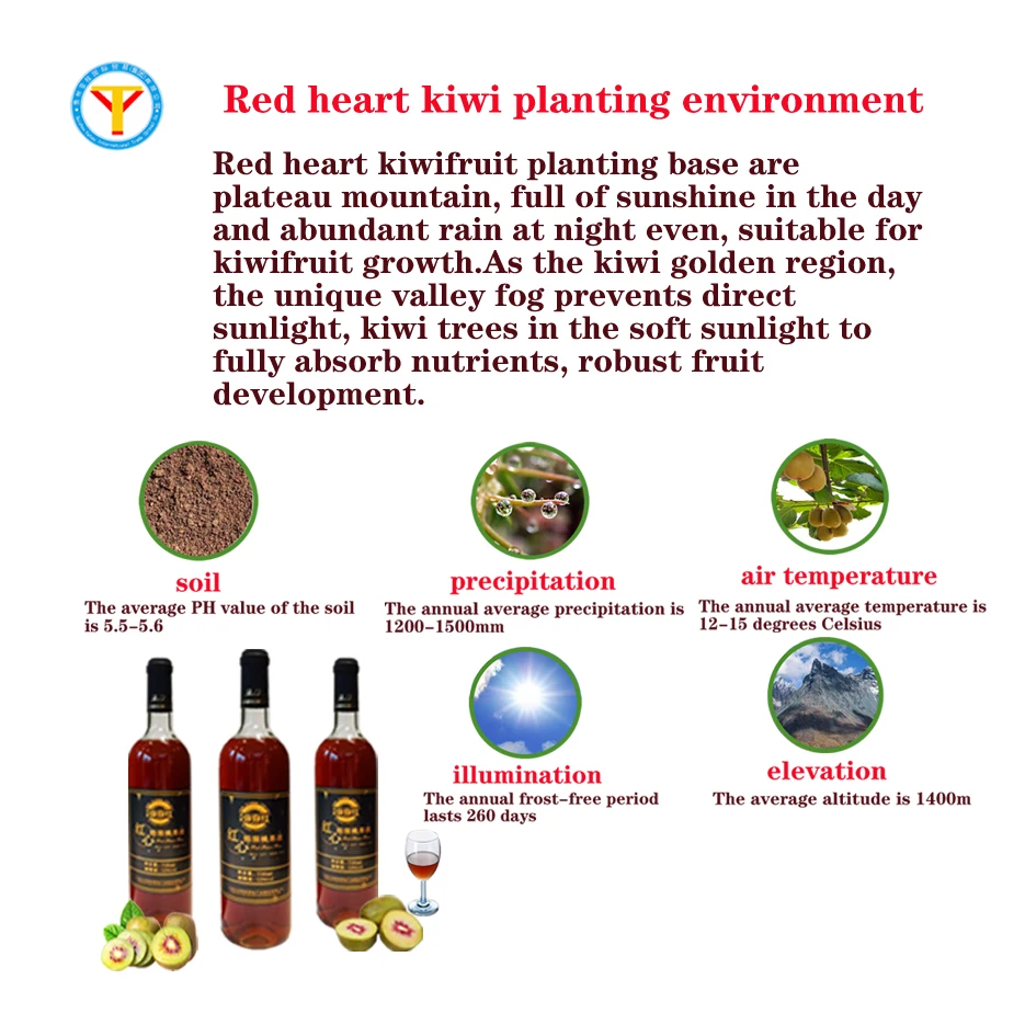 
Rich in vitamin C, protein, amino acids, 7380ML package of red Kiwi health fruit wine 