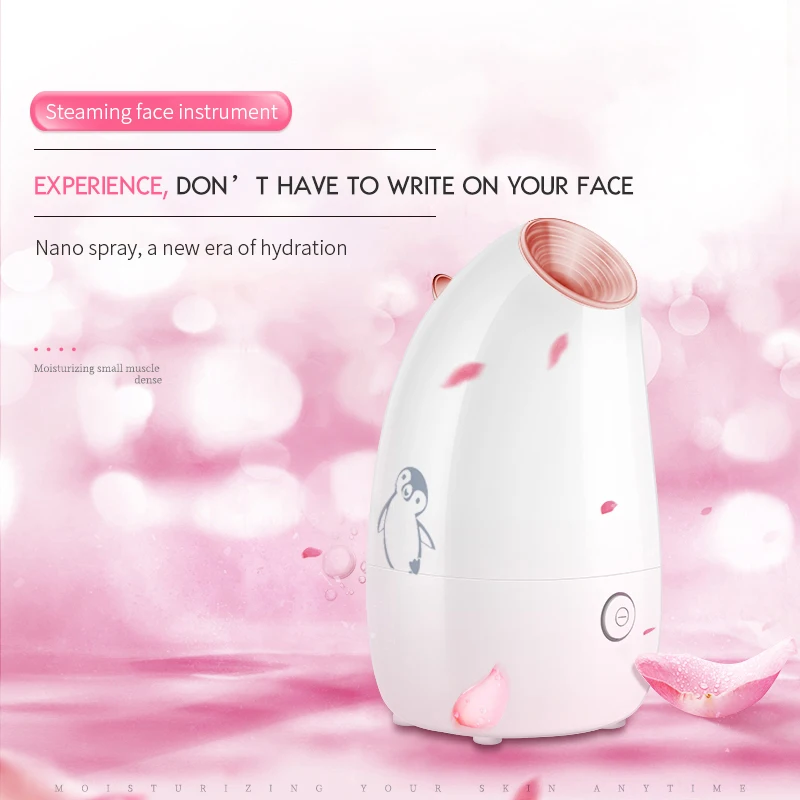 KSKIN Portable customizable OEM / ODM Ionic Facial Steamer