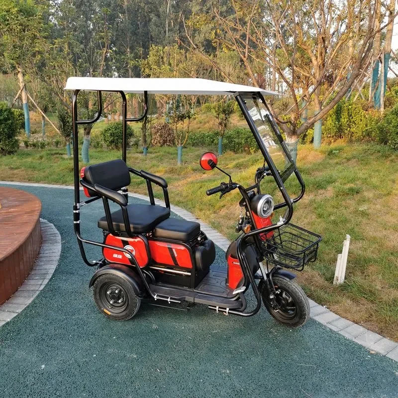 American warehouse DDP fast delivery cheap adult Folding detachable electric tricycle 3-wheeled One shipment