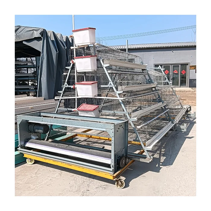 OEM Customized A Type automatic cage system for laying hens layer cages egg chicken poultry farm
