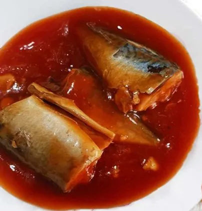 Factory  price canned fish healthy foods canned Mackerel in Tomato Sacue