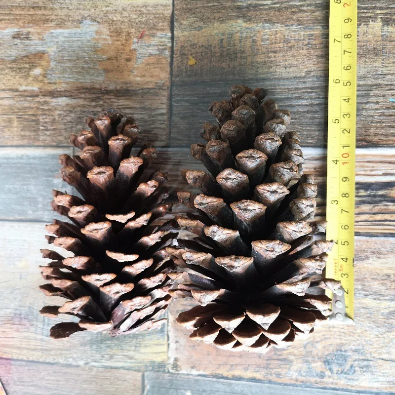 Christmas Pinecone Window Display Decoration Home Decoration 15cm American Pinecone Pine Tower