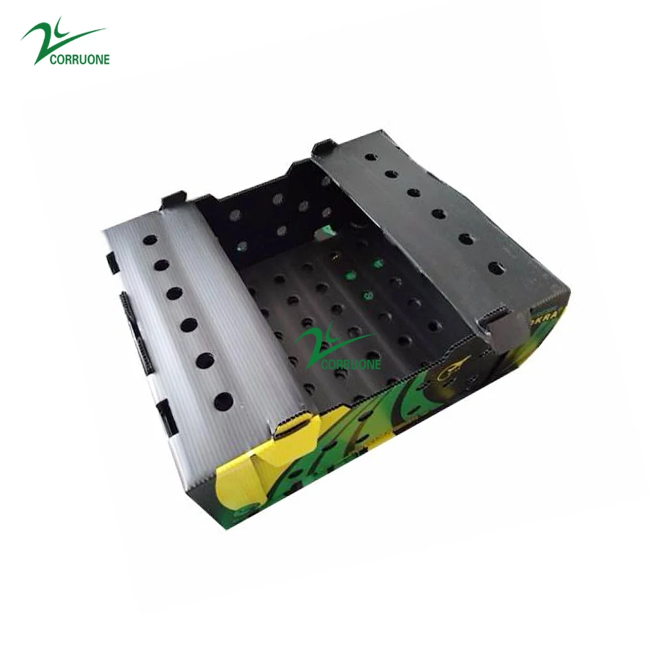 PP Plastic Corrugated Foldable Potato Packaging Tomato Broccoli Vegetable Storage Box Polypropylene Corflute Plastic Container