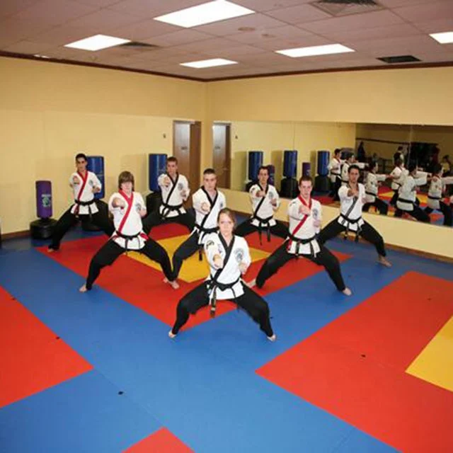 Interlocking Foam Tiles Perfect for Martial Arts, Lightweight Home Gyms,Gymnastics,Yoga,Cardio and Aerobics Judo Karate Mats