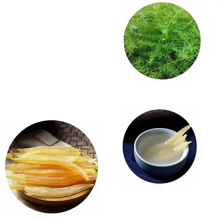 High Quality Natural Proportional Herbal Spartacus Asparagus Shatavari Extract Powder