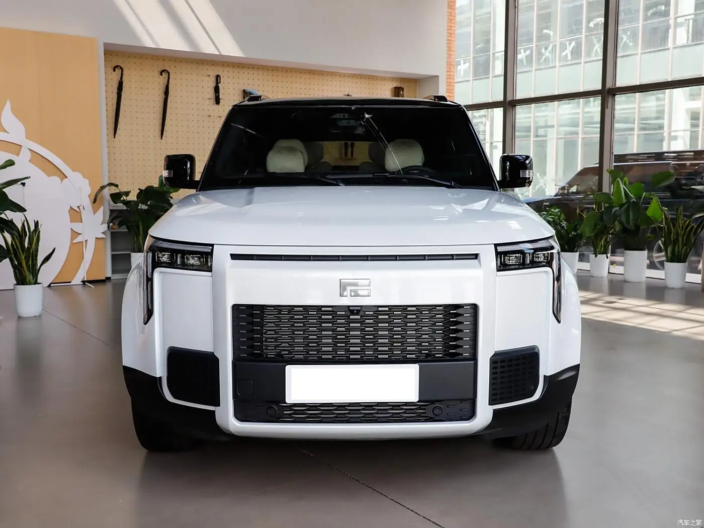 2024 Baic Jishi 01 ROX Новый энергетический автомобиль Сверхлегкий внедорожник Электрический гибридный топливный 4WD AWD привод эксклюзивная 6-Местная версия с длительным сроком службы