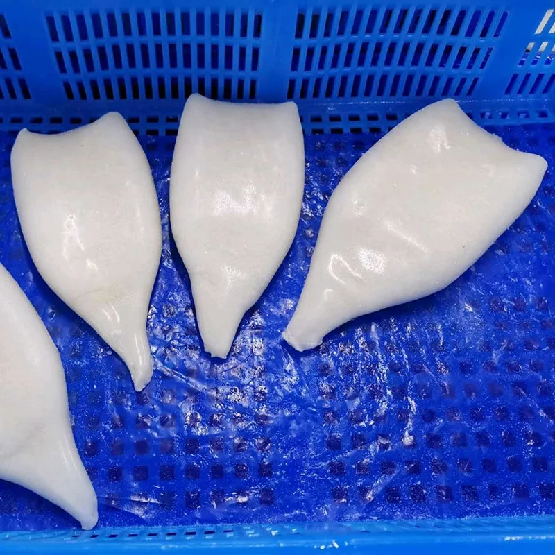 
EU standard illex squid tube skinless frozen squid wholesale U5 U7 available for export 