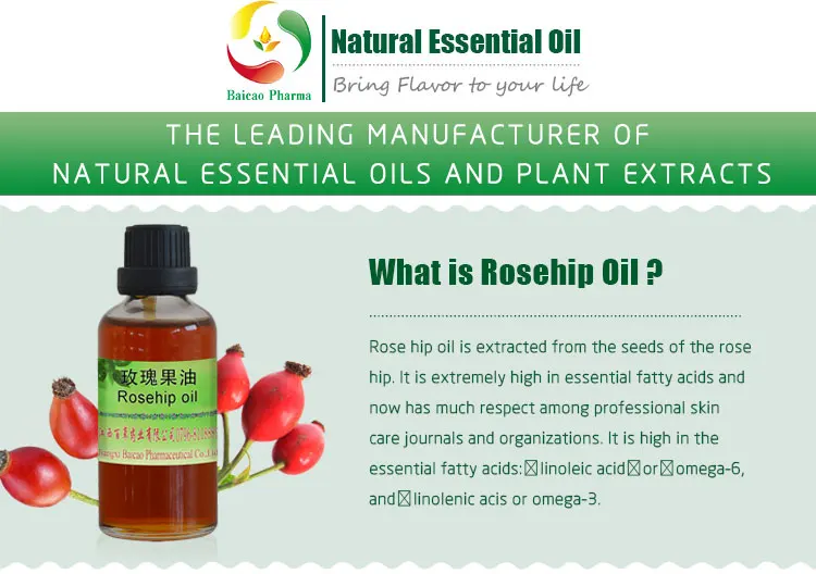 Popular SPA Oil Cold Pressed Rosehip Seed Oil For Hair Face Vitamin C, Fruit Acid, Soften Skin Rose Hip Oil Massage Pure Natural