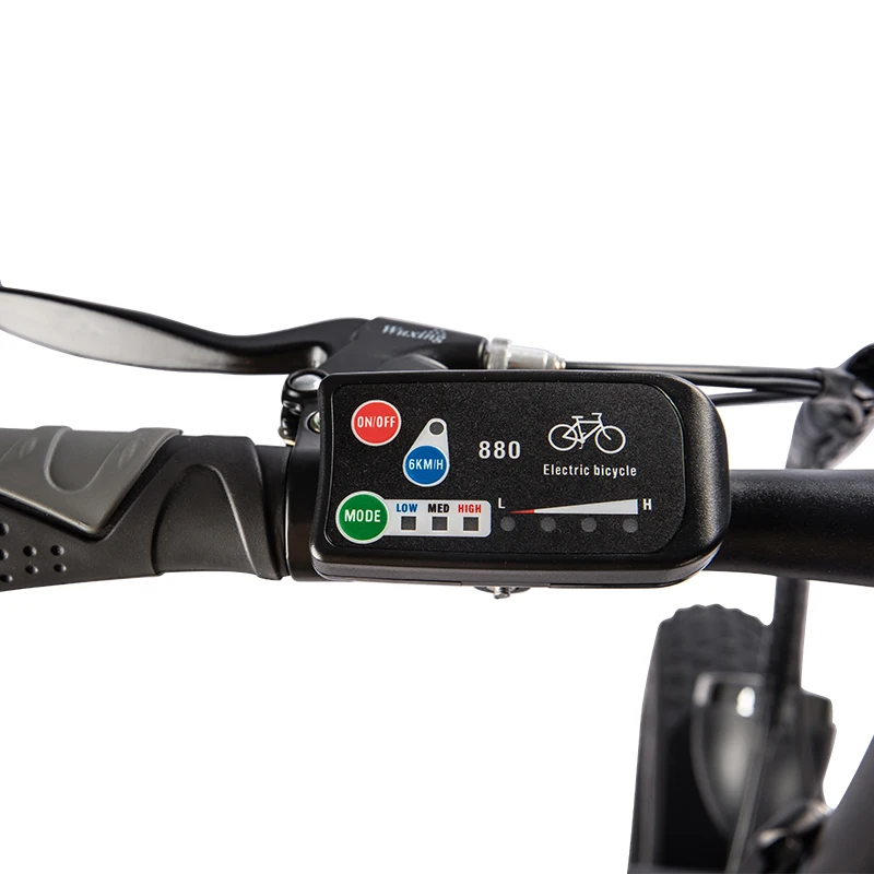 250W EN15194 Electric Folding Bike Other Electric Bike Fat Tire Electric Bicycle