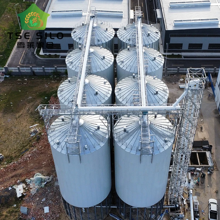 Factory Supply Silo for Farms TCZK 100T 500T 600T 1500T Steel Hopper Bottom Seed Silos