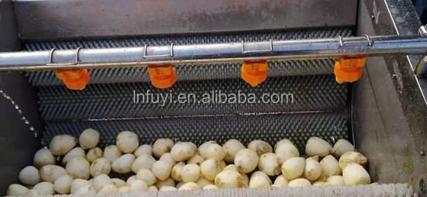 Automatic Fruit vegetable washer peanut bubble cleaning machine