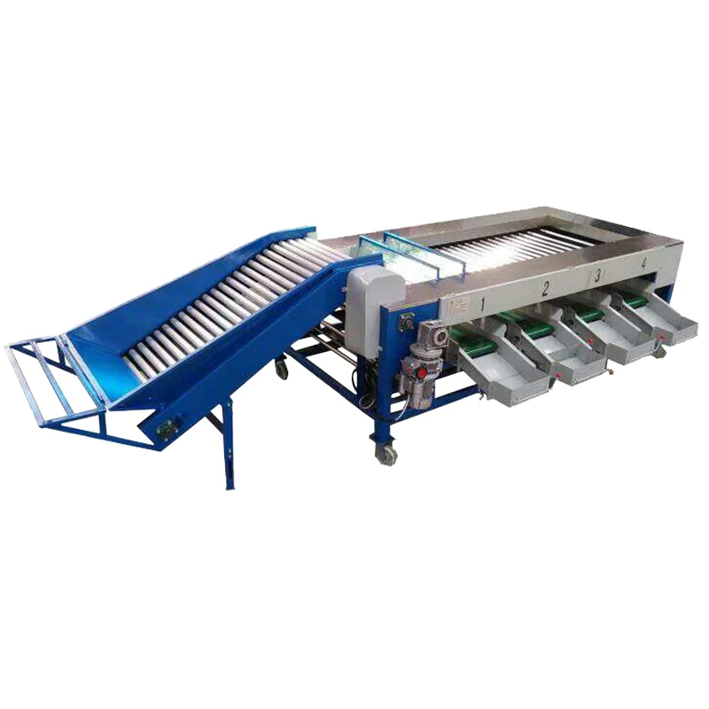 fruit washing and sorting machine avocado cleaning and grading  fruit &vegetable grading machine