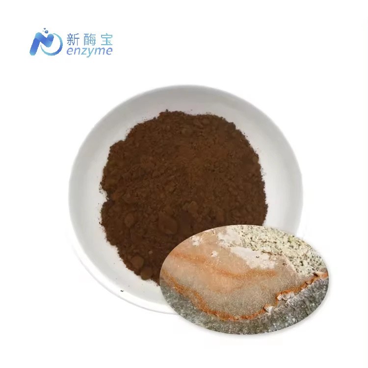 Novenzyme Wholesale Price Bulk Natural Salt Alga Extract Dunaliella Salina Powder
