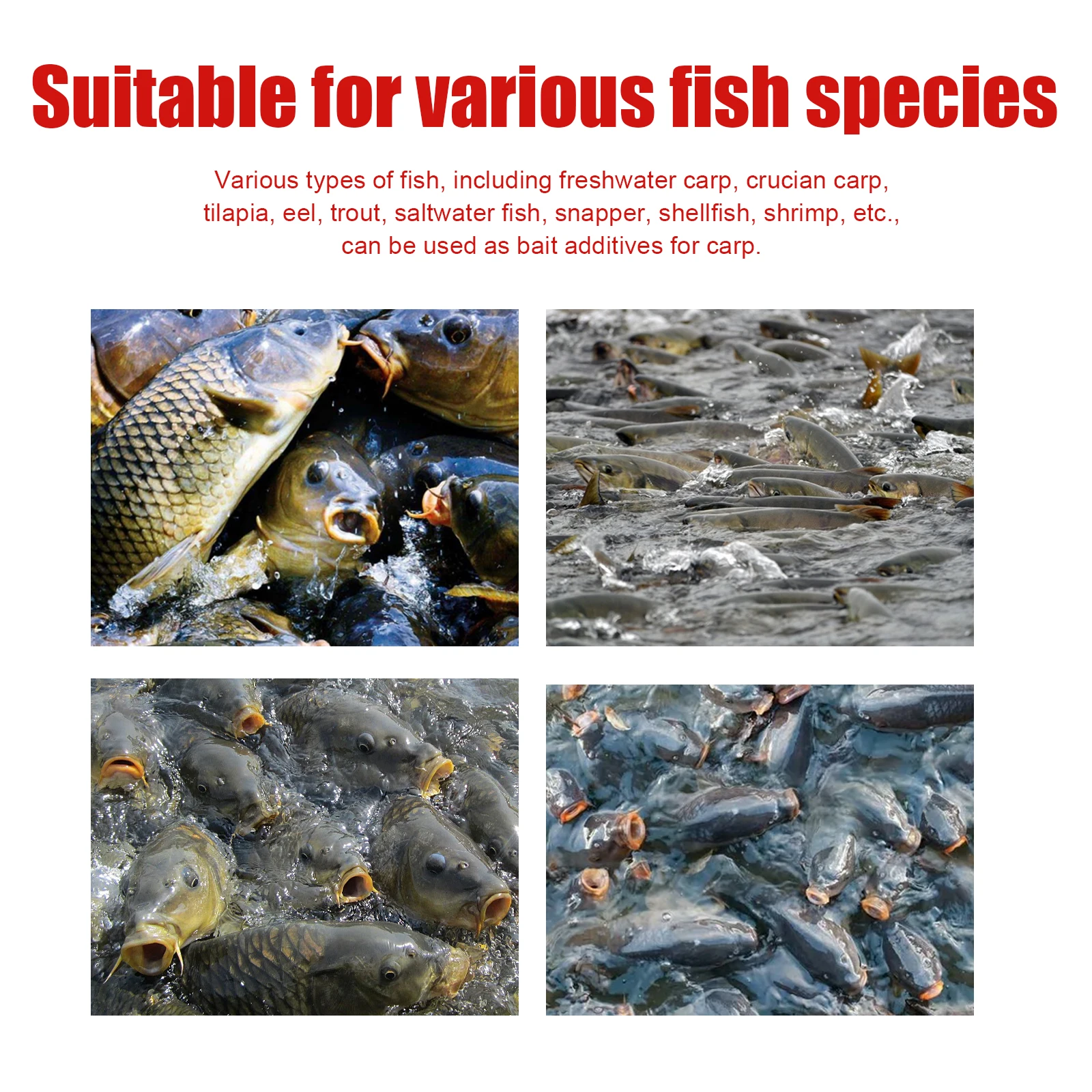 Yegbong Fish Feed Attractant Non-toxtic Fish-attracting Eco-friendly Liquid Attractant For Fish