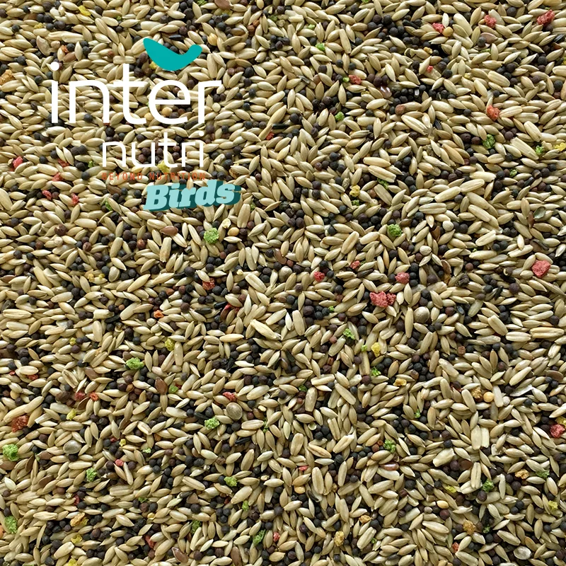 
Seed mixture for canaries | INTERNUTRI CANARIES 1KG 