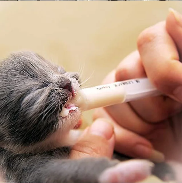 5ml pet feeding