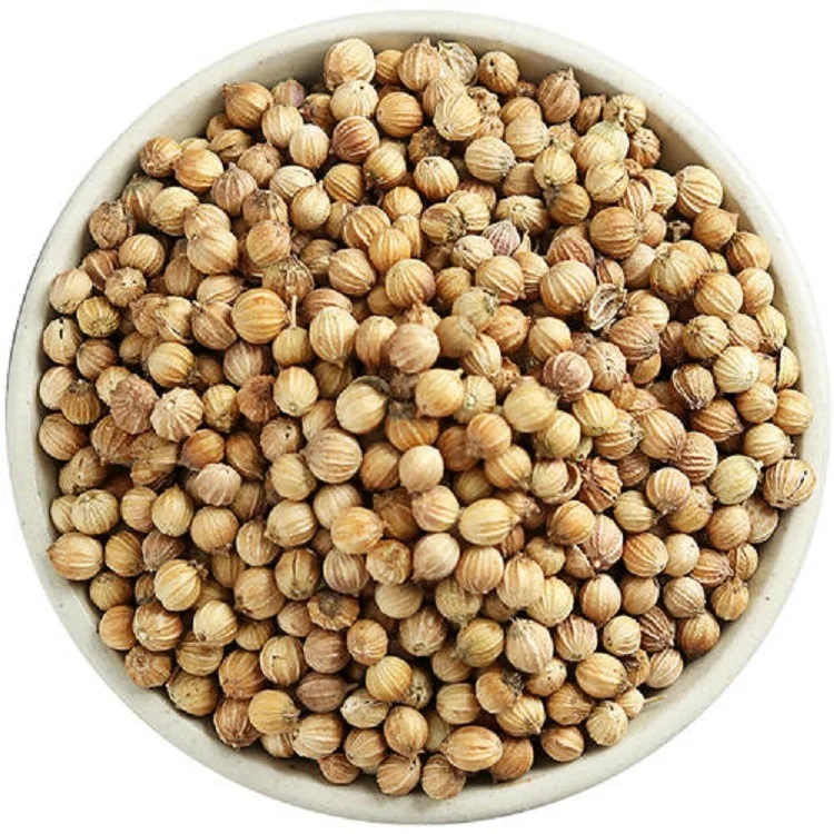 
High Quality 100% natural Coriander Seeds price supplier 