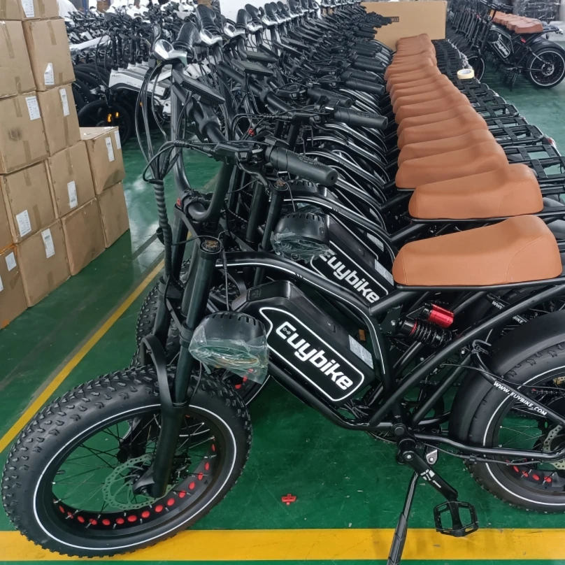 ZHENGBU S4 48 В, 750 Вт, 20 дюймов