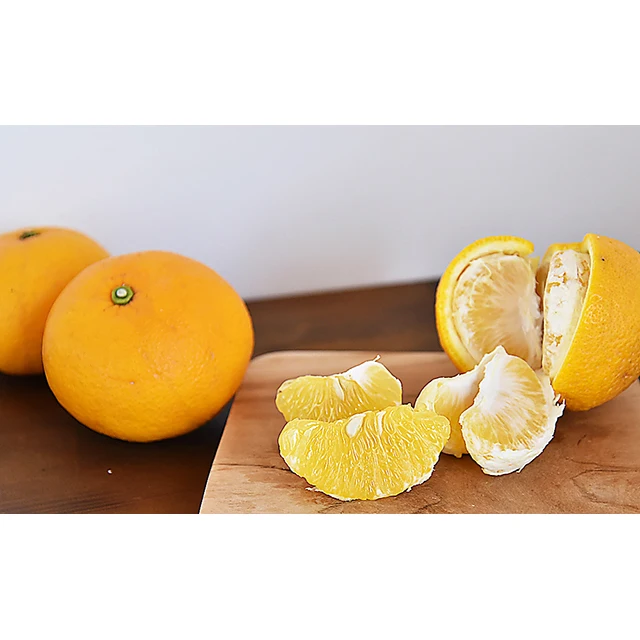 
Japan ITO-NOEN Fresh Fraglance Grapefruit Fruit Slice Confection 