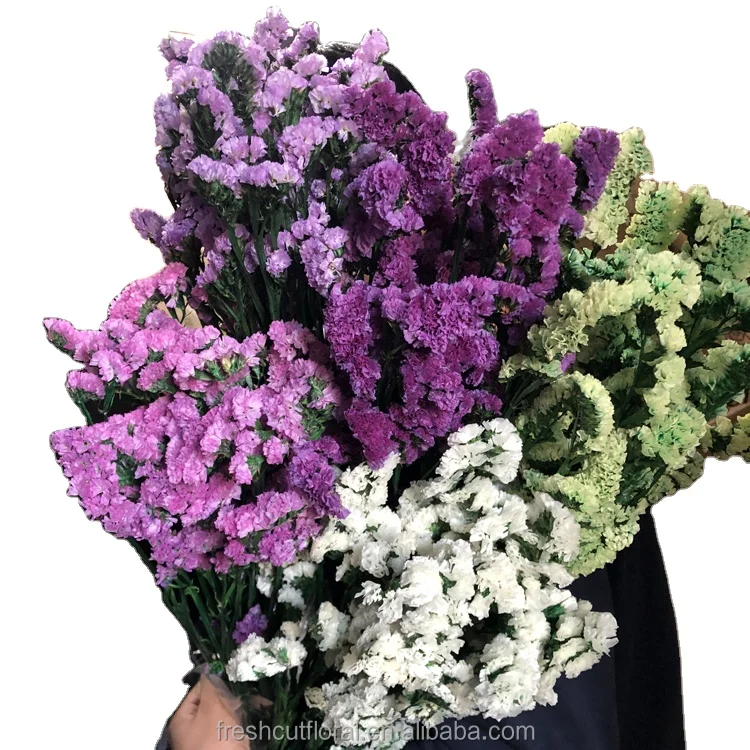 Home Wedding Decorative Statice Flower Sea Lavender flower Limonium Crystal Grass Forget Me Not Preserved Dried Flowers