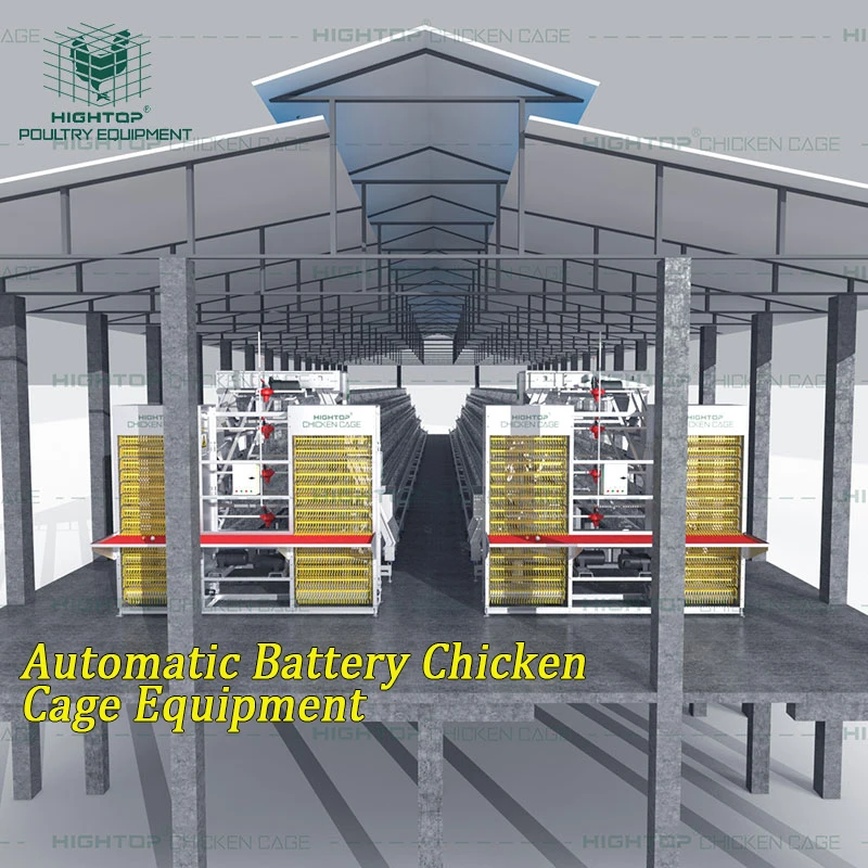 Jaulas Para Gallinas ponedoras 4-ярусный выставочный стенд куринный слой клетки батарей в