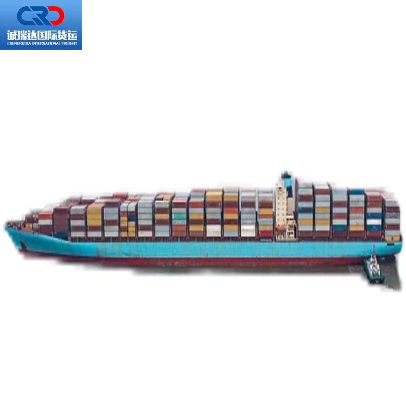 DDP FBA Service LCL Express UPS DHL Air Sea Freight Shipping Agent China to Pakistan Thailand Dubai Saudi Arabia United States