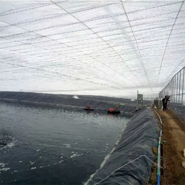 Plastic Waterproof Polyethylene Geomembrane Aquaculture Fish Farm Pond Liners 0.5mm 0.75mm Geomembrane Hdpe Greenhouse film