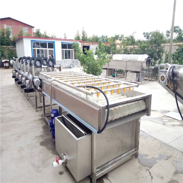 machine to wash and pack vegetable complete chain