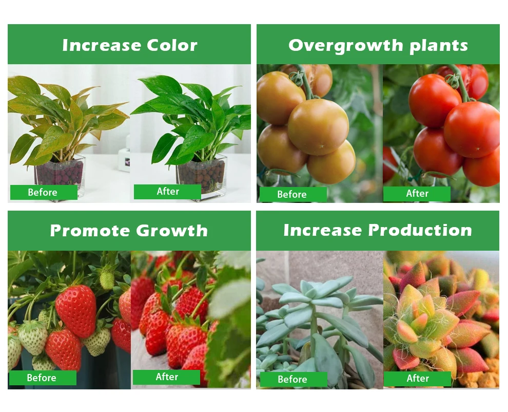 QBCC600 GROW LIGHT APPLICATION