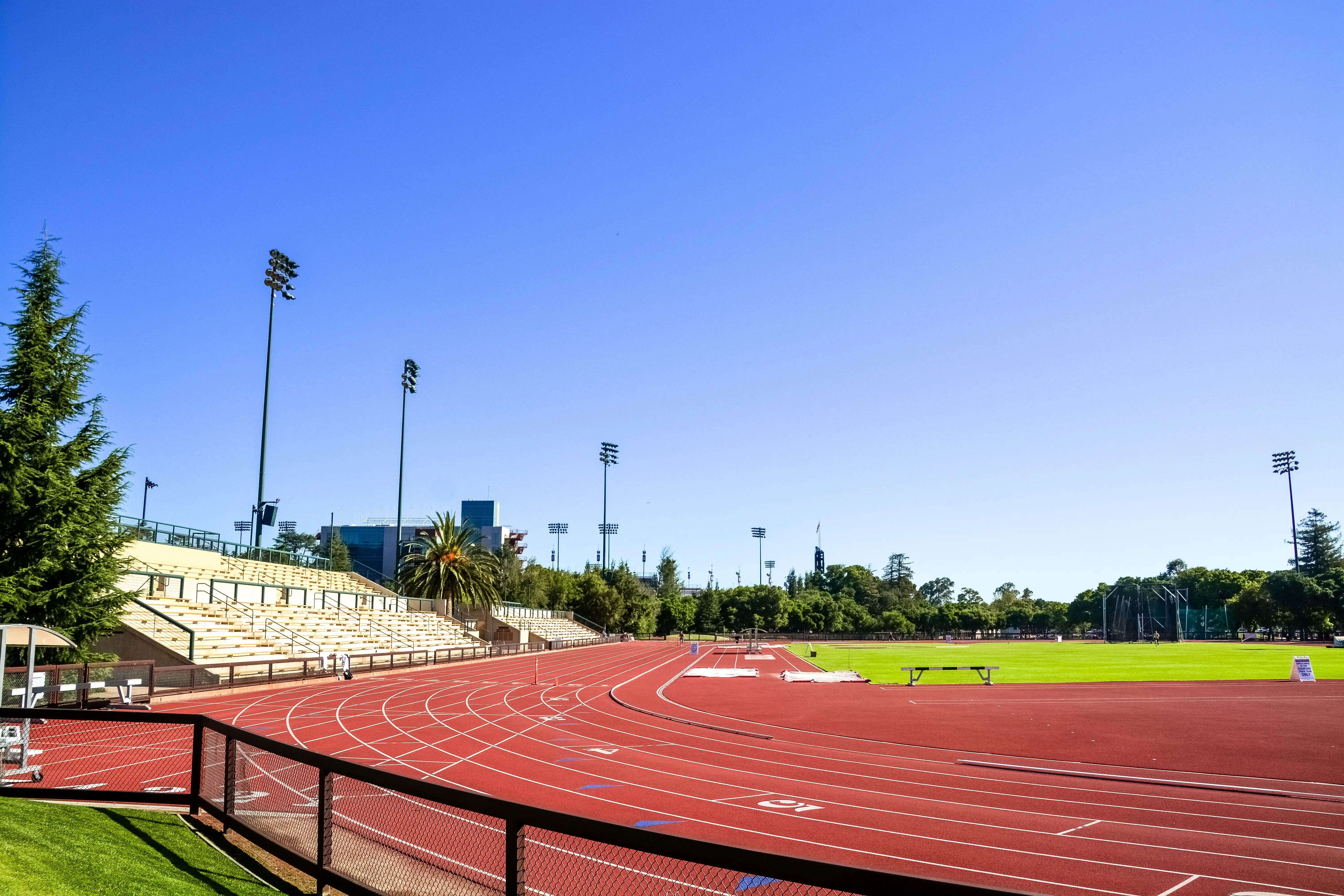 Wholesale Prices Polyurethane Binder Epdm Rubber Granules Crumbs For Athletic Track