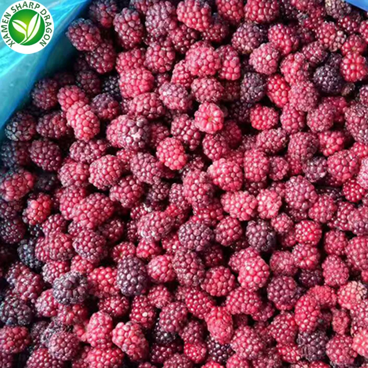 Bulk price fruit pulp iqf frozen blackberries