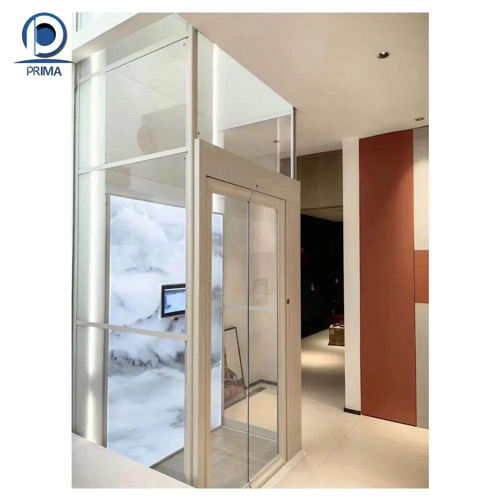 Fast Delivery Foshan Factory Home Elevator Electric Small Home Lifts Prices Residential Lift Passenger Elevator