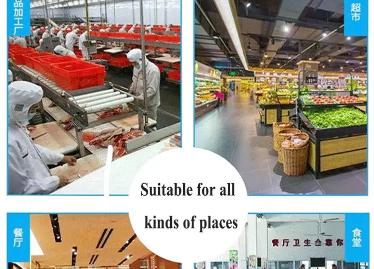 Easy Operation Commercial Remover Fish Scales Machine