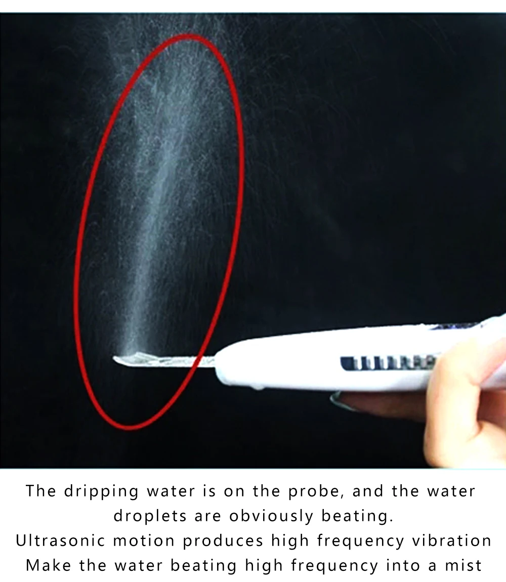 Portable Skin Rejuvenation Blackhead Removal Dead Skin Double Handles Ultrasonic Skin Scrubber Machine