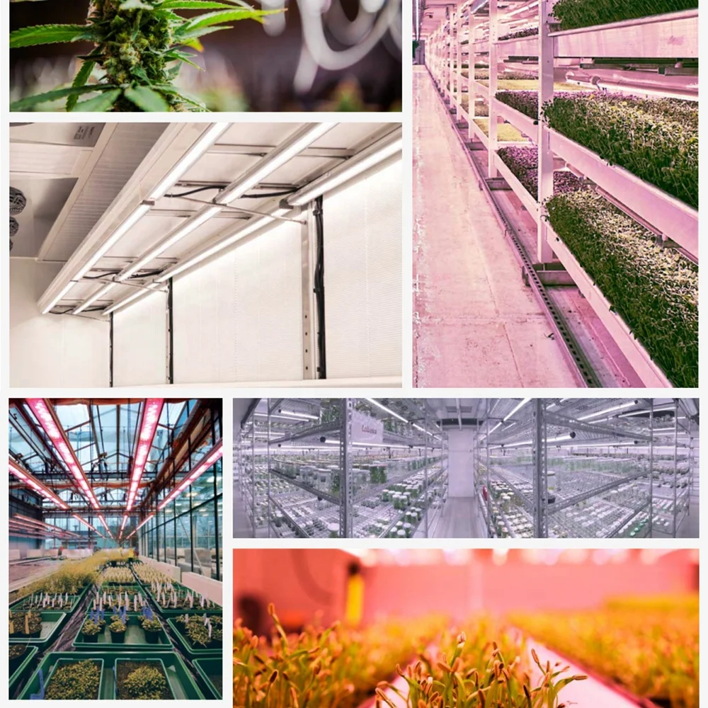 Factory supply 20W 30W 36W LED grow light bars grow lighting wavelength waterproof led grow lights