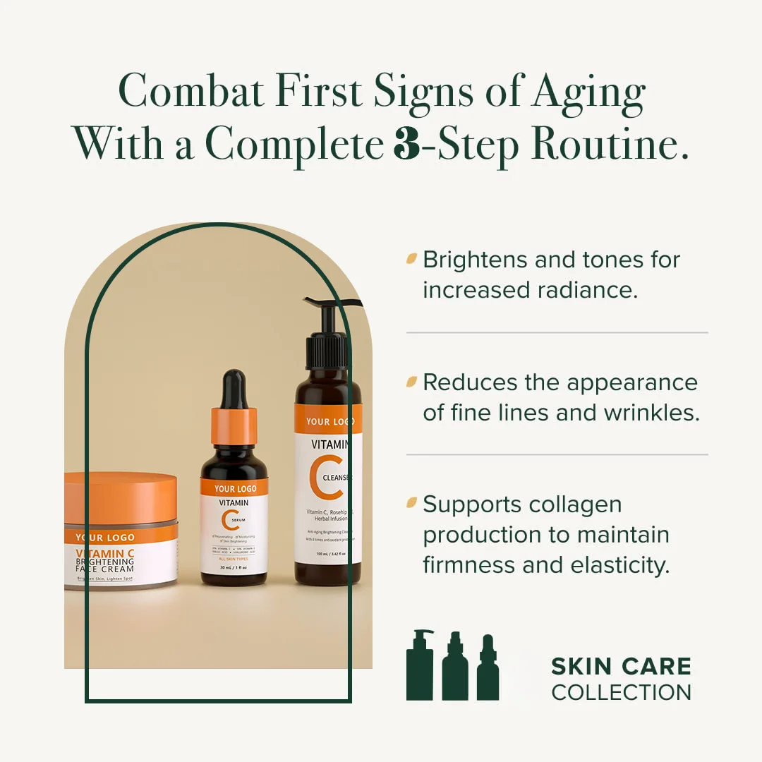 Private Label Skincare Beauty Vagan Organic Anti-aging  Vitamin c Cleanser face Cream Facial Serum Skin care set