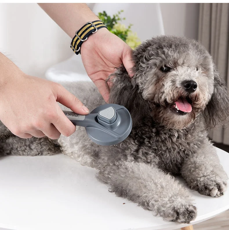 New designed Pet Tools High Quality Wholesale Comb Cute Professional Pet Grooming Clean Brush